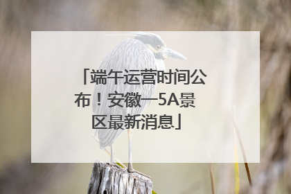 端午运营时间公布！安徽一5A景区最新消息