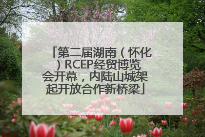 第二届湖南（怀化）RCEP经贸博览会开幕，内陆山城架起开放合作新桥梁