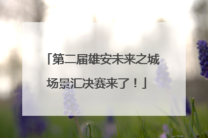第二届雄安未来之城场景汇决赛来了！