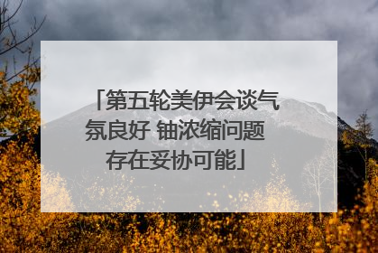 第五轮美伊会谈气氛良好 铀浓缩问题存在妥协可能