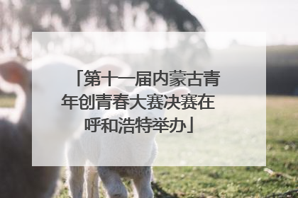 第十一届内蒙古青年创青春大赛决赛在呼和浩特举办