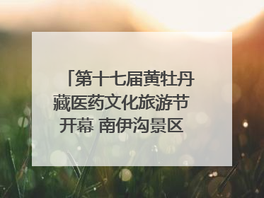 第十七届黄牡丹藏医药文化旅游节开幕 南伊沟景区重新开放