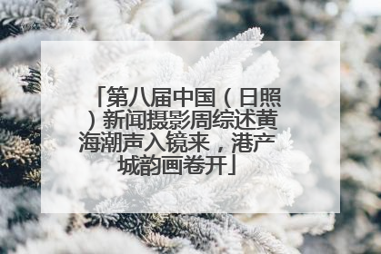 第八届中国（日照）新闻摄影周综述黄海潮声入镜来，港产城韵画卷开