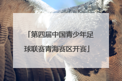 第四届中国青少年足球联赛青海赛区开赛