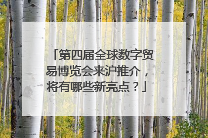 第四届全球数字贸易博览会来沪推介，将有哪些新亮点？