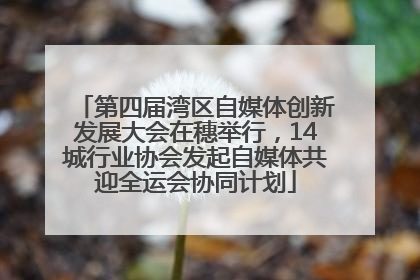 第四届湾区自媒体创新发展大会在穗举行，14城行业协会发起自媒体共迎全运会协同计划