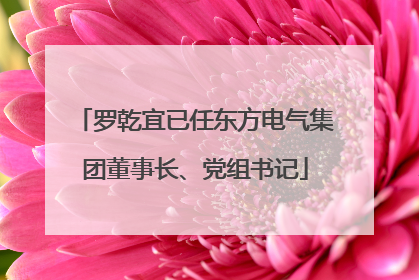 罗乾宜已任东方电气集团董事长、党组书记
