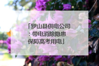 罗山县供电公司：带电消除隐患 保障高考用电