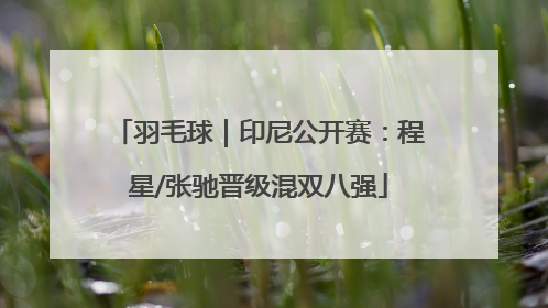 羽毛球｜印尼公开赛：程星/张驰晋级混双八强