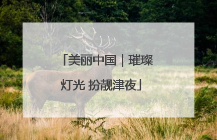 美丽中国｜璀璨灯光 扮靓津夜