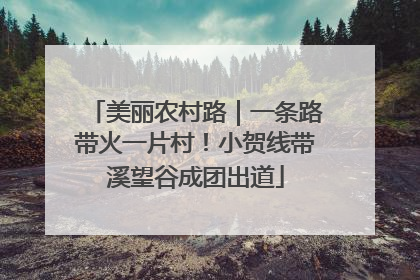 美丽农村路｜一条路带火一片村！小贺线带溪望谷成团出道