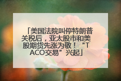美国法院叫停特朗普关税后，亚太股市和美股期货先涨为敬！“TACO交易”兴起