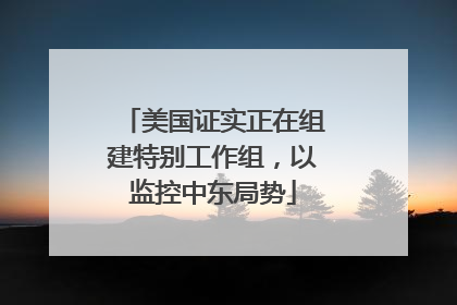 美国证实正在组建特别工作组，以监控中东局势