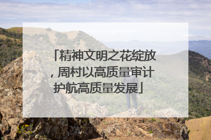 精神文明之花绽放，周村以高质量审计护航高质量发展