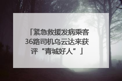 紧急救援发病乘客 36路司机乌云达来获评“青城好人”