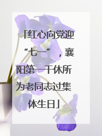 红心向党迎“七一”，襄阳第一干休所为老同志过集体生日