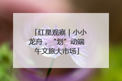 红星观察｜小小龙舟，“划”动端午文旅大市场