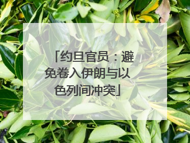 约旦官员：避免卷入伊朗与以色列间冲突