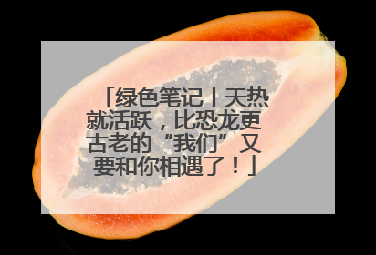 绿色笔记丨天热就活跃，比恐龙更古老的“我们”又要和你相遇了！