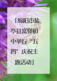 绵阳市盐亭县富驿初中举行“五四”庆祝主题活动