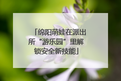 绵阳萌娃在派出所“游乐园”里解锁安全新技能