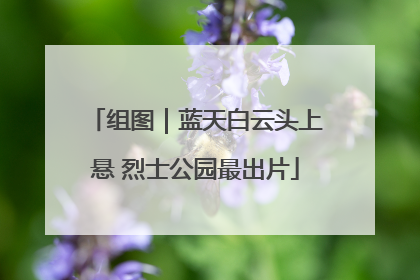 组图｜蓝天白云头上悬 烈士公园最出片