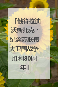 俄符拉迪沃斯托克：纪念苏联伟大卫国战争胜利80周年