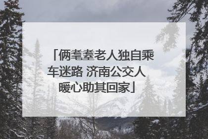 俩耄耋老人独自乘车迷路 济南公交人暖心助其回家