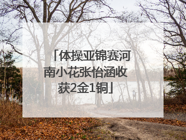 体操亚锦赛河南小花张怡涵收获2金1铜