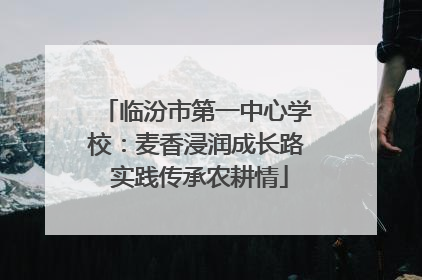 临汾市第一中心学校：麦香浸润成长路 实践传承农耕情