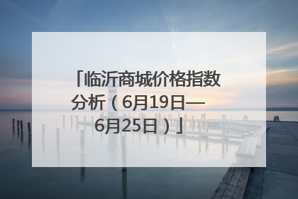 临沂商城价格指数分析（6月19日—6月25日）