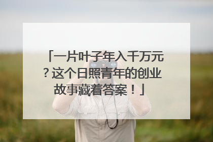 一片叶子年入千万元？这个日照青年的创业故事藏着答案！