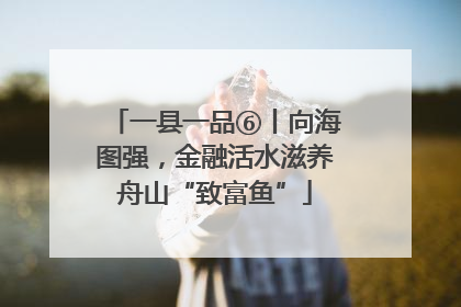 一县一品⑥丨向海图强，金融活水滋养舟山“致富鱼”