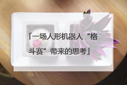 一场人形机器人“格斗赛”带来的思考