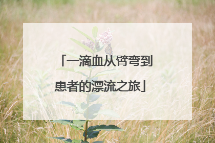 一滴血从臂弯到患者的漂流之旅