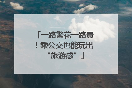 一路繁花一路景！乘公交也能玩出“旅游感”