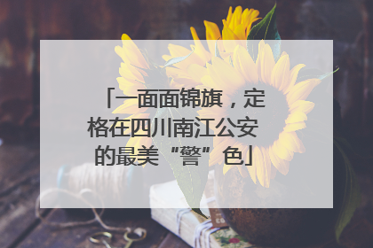 一面面锦旗，定格在四川南江公安的最美“警”色