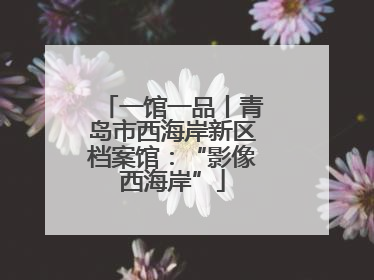 一馆一品丨青岛市西海岸新区档案馆：“影像西海岸”