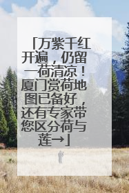 万紫千红开遍，仍留一荷清凉！厦门赏荷地图已备好，还有专家带您区分荷与莲→