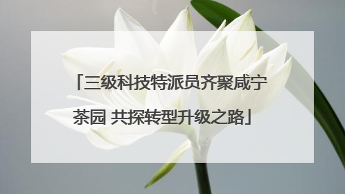 三级科技特派员齐聚咸宁茶园 共探转型升级之路