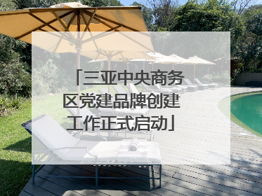 三亚中央商务区党建品牌创建工作正式启动