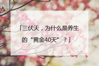 三伏天，为什么是养生的“黄金40天”？