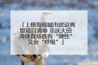 上榜海绵城市建设典型项目清单 重庆大田湾体育场既有“弹性”又会“呼吸”