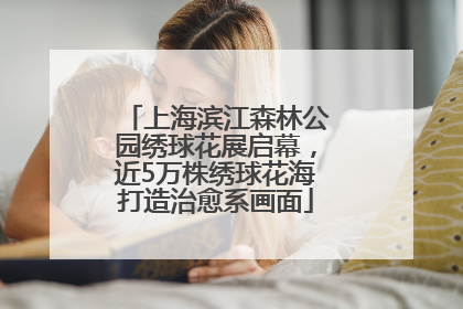 上海滨江森林公园绣球花展启幕，近5万株绣球花海打造治愈系画面
