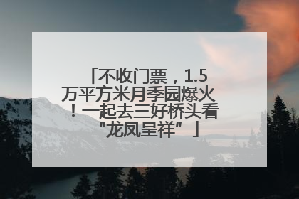 不收门票，1.5万平方米月季园爆火！一起去三好桥头看“龙凤呈祥”