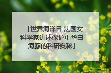 世界海洋日 法国女科学家讲述保护中华白海豚的科研奥秘