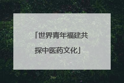 世界青年福建共探中医药文化