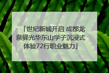 世纪新城开启 成都龙泉驿光华东山学子沉浸式体验72行职业魅力