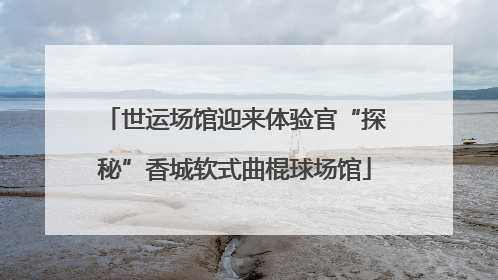 世运场馆迎来体验官“探秘”香城软式曲棍球场馆
