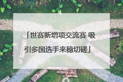 世赛新增项交流赛 吸引多国选手来穗切磋